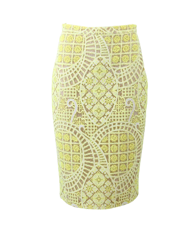 Iona Lace Pencil Skirt lace skirt intricate